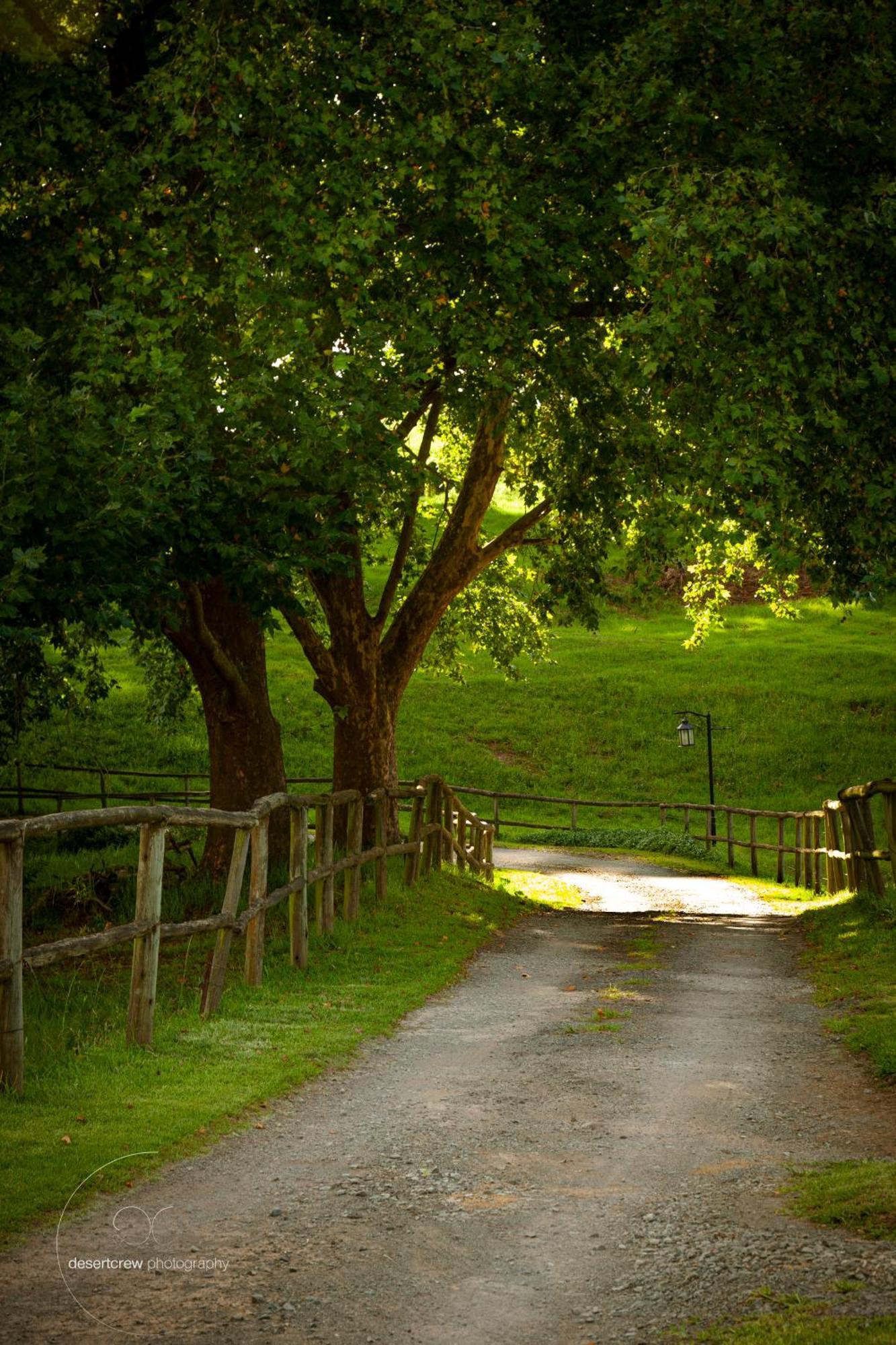 Newstead Farm - Country Cottages Curryʼs Post Esterno foto