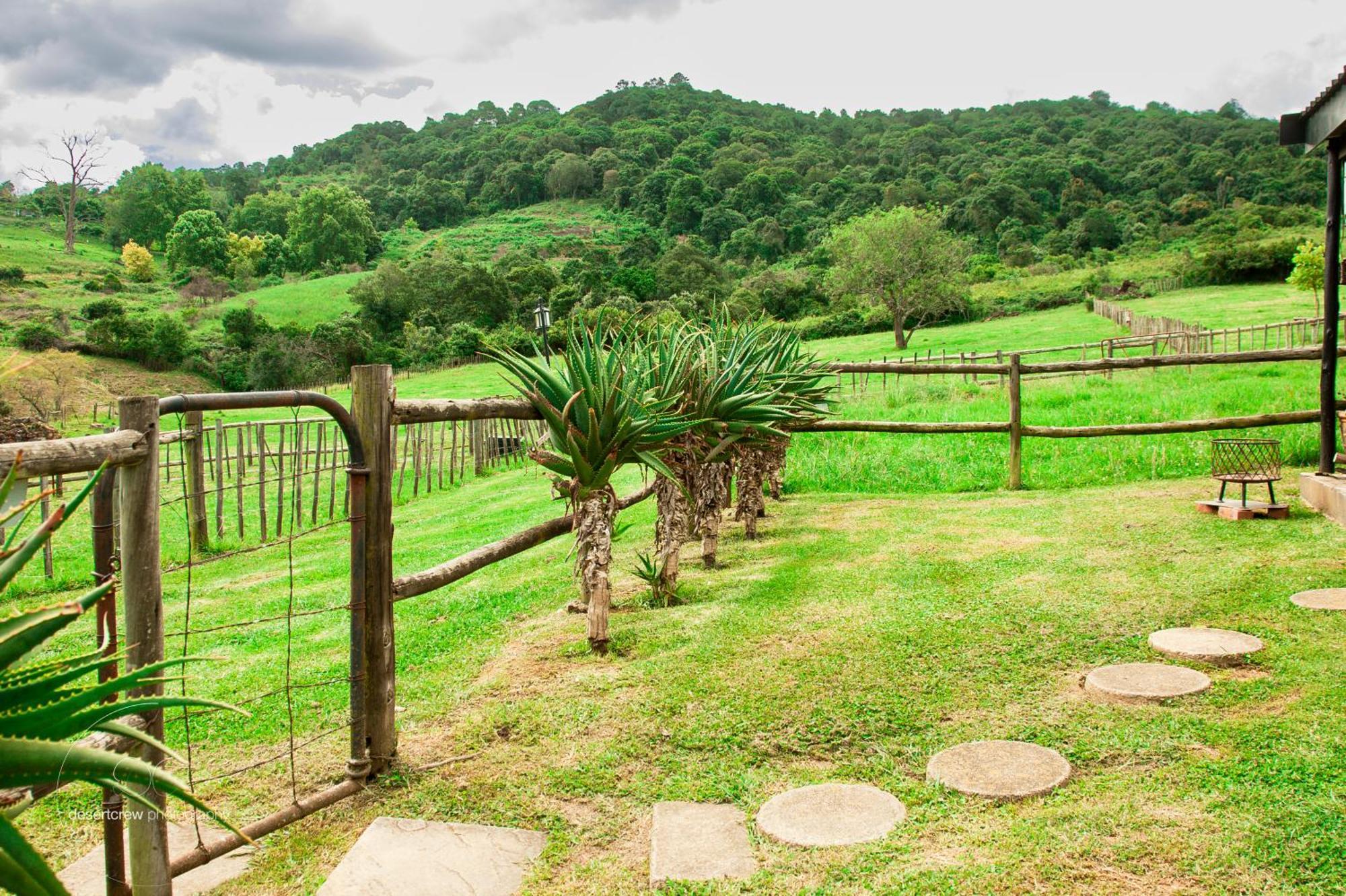 Newstead Farm - Country Cottages Curryʼs Post Esterno foto